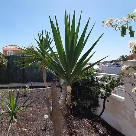 Vila Dwarika, Away From - Private Heated Pool