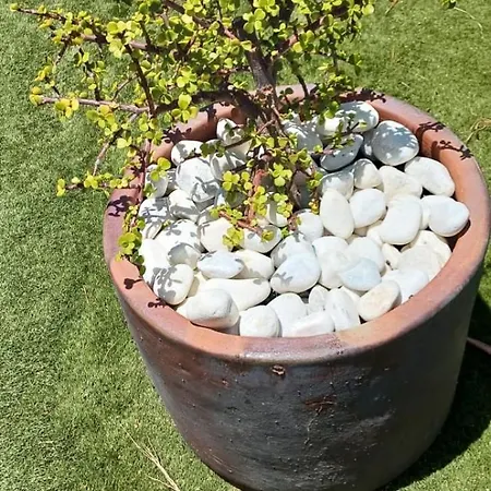 Dwarika, Away From - Private Heated Pool Vila *